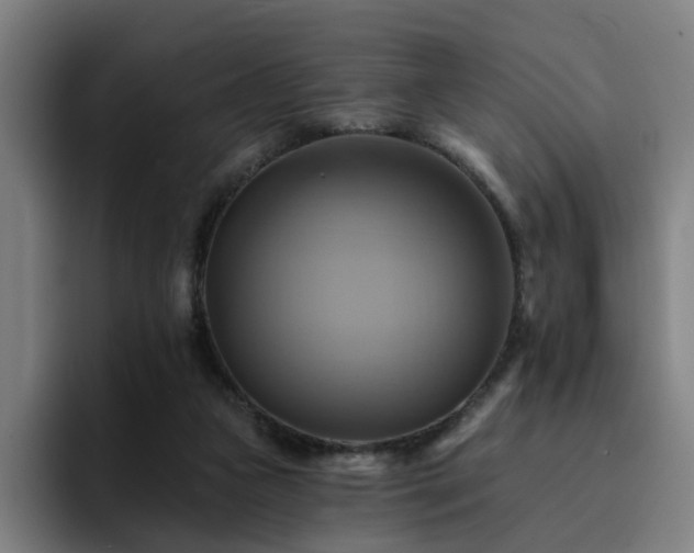 X0000094900161200712061036