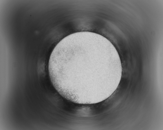 X0000094900162200712061036