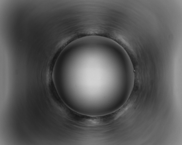 X0000094900164200712061036