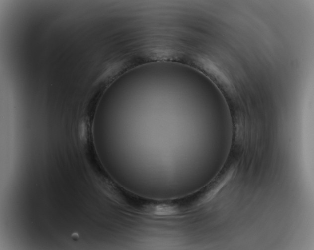 X0000094900165200712061036