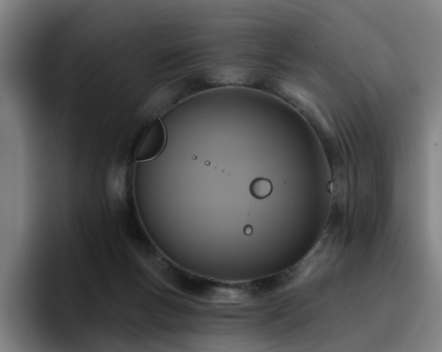 X0000094900167200712061036