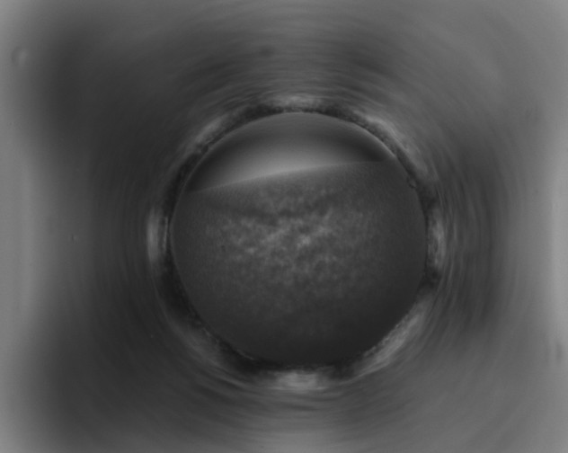 X0000094900168200712061036