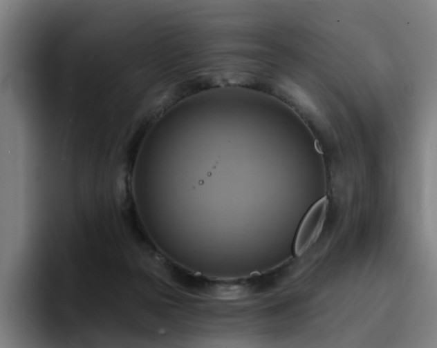 X0000094900169200712061036