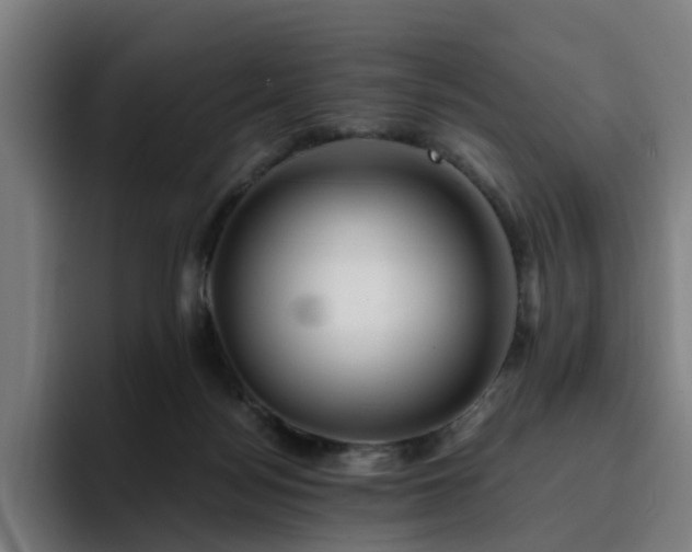 X0000094900172200712061036