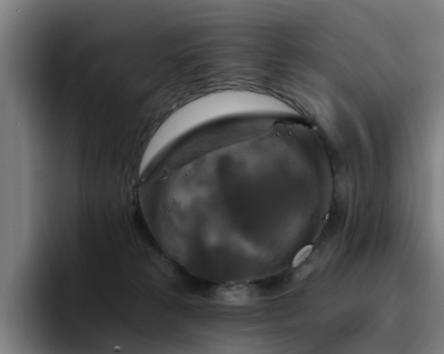 X0000094900181200712061036