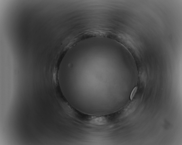 X0000094900185200712061036