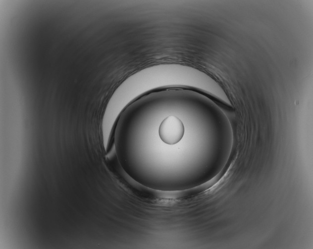 X0000094900192200712061036