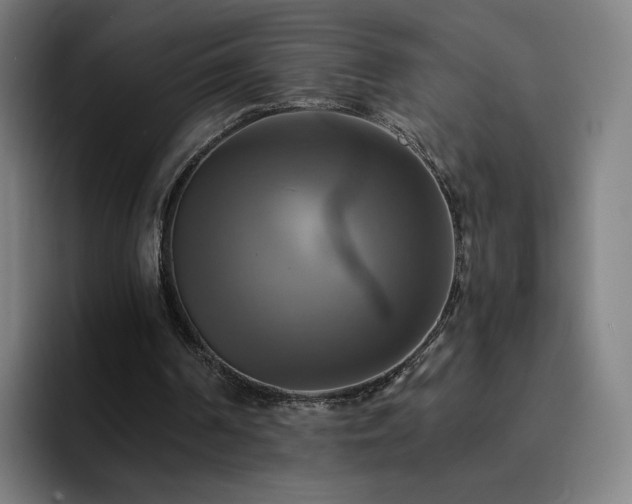 X0000094900194200712061035
