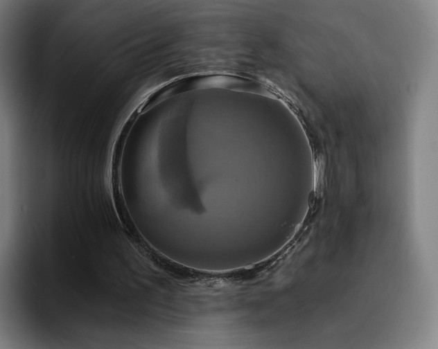 X0000094900195200712061035