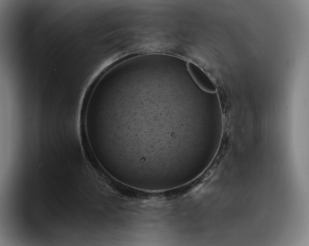X0000094900196200712061035