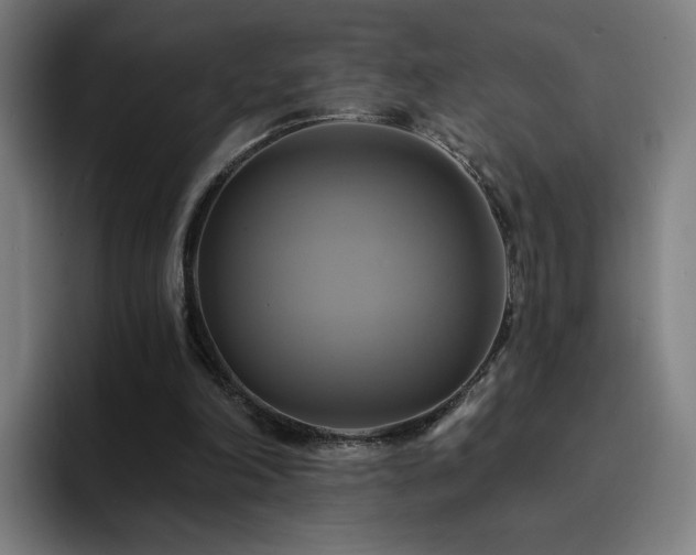 X0000094900198200712061035