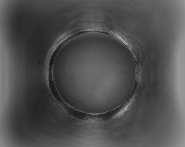 X0000094900199200712061035