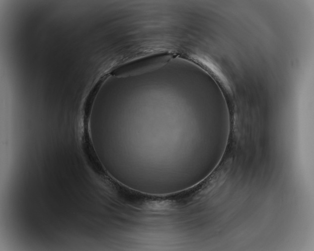 X0000094900202200712061035