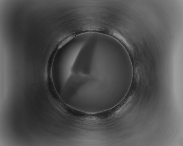 X0000094900203200712061035