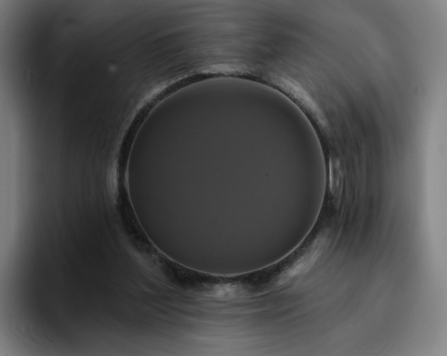 X0000094900204200712061035