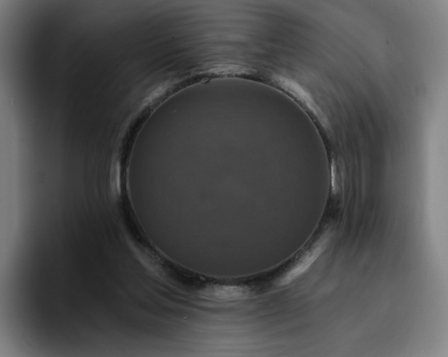 X0000094900205200712061035