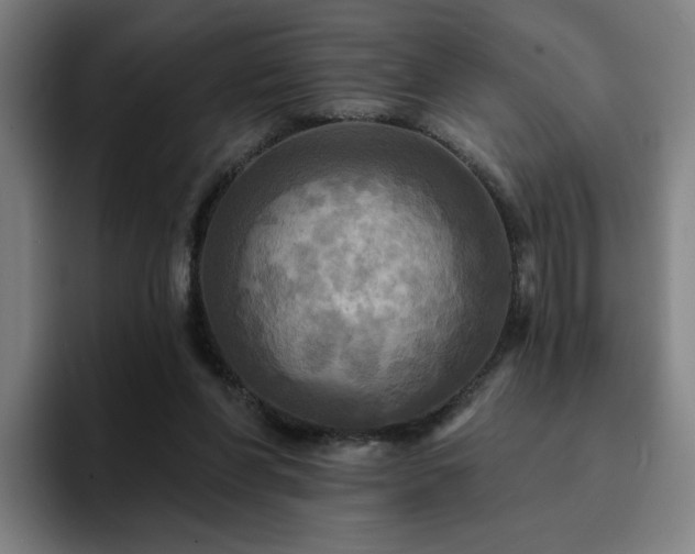 X0000094900206200712061035