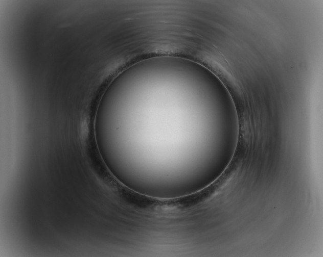 X0000094900208200712061035