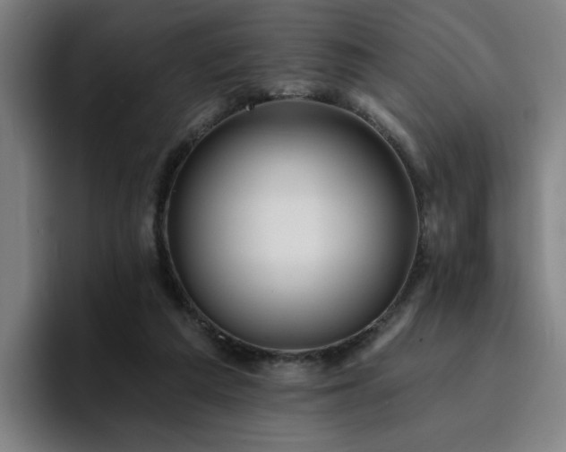 X0000094900209200712061035