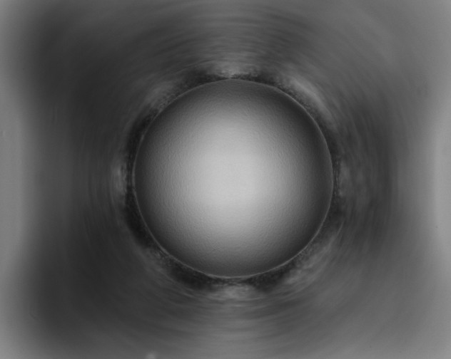 X0000094900210200712061035