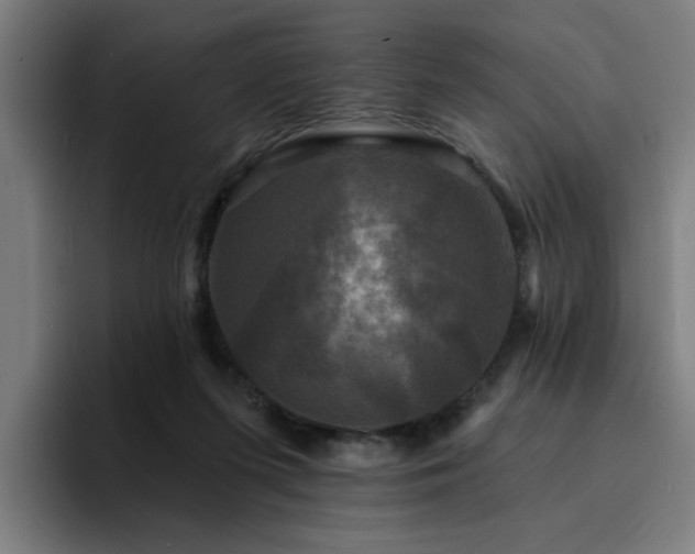 X0000094900215200712061035