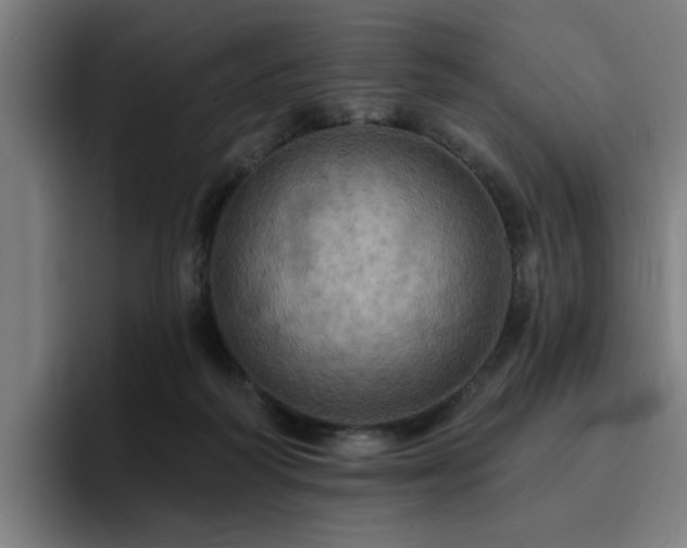 X0000094900218200712061035