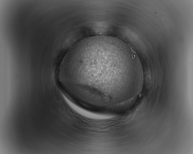 X0000094900221200712061035