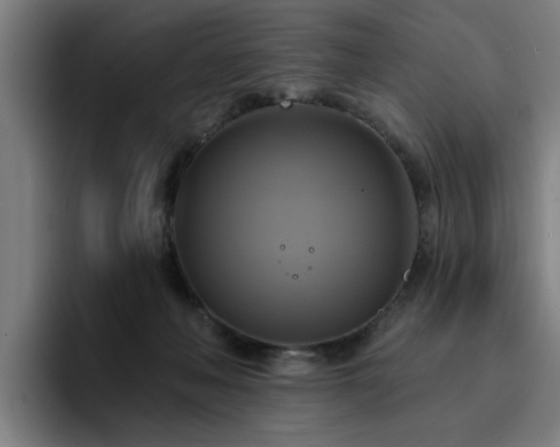 X0000094900222200712061035