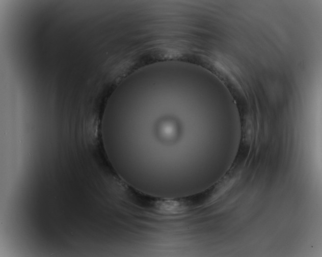 X0000094900230200712061035