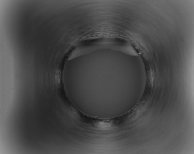X0000094900232200712061035