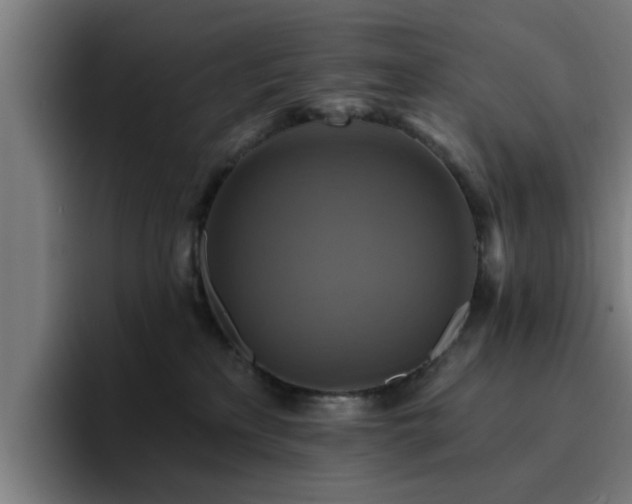 X0000094900233200712061035