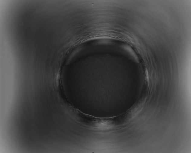 X0000094900235200712061035