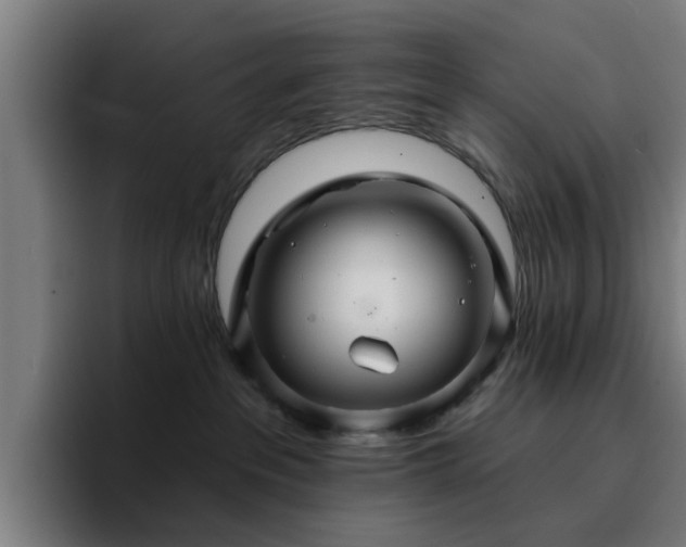 X0000094900237200712061035
