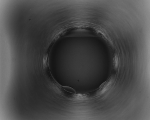 X0000094900239200712061035