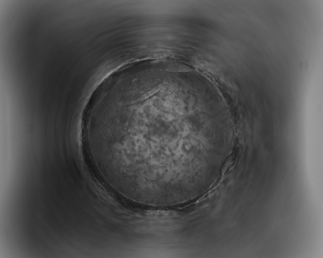 X0000094900242200712061034