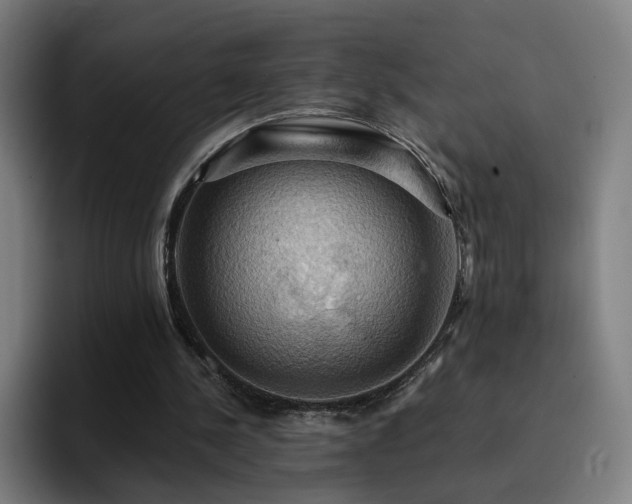 X0000094900244200712061034