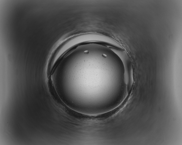 X0000094900246200712061034