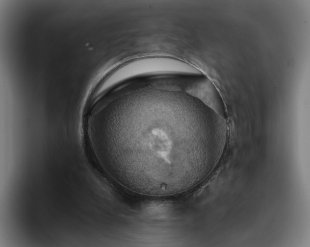 X0000094900248200712061034