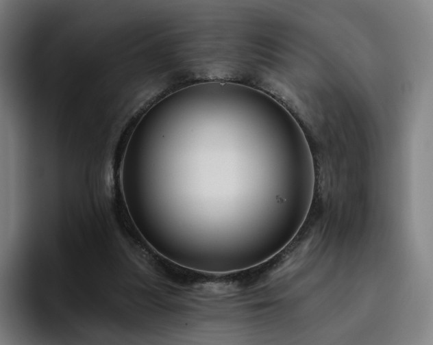 X0000094900251200712061034