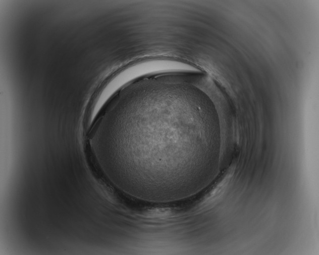 X0000094900252200712061034