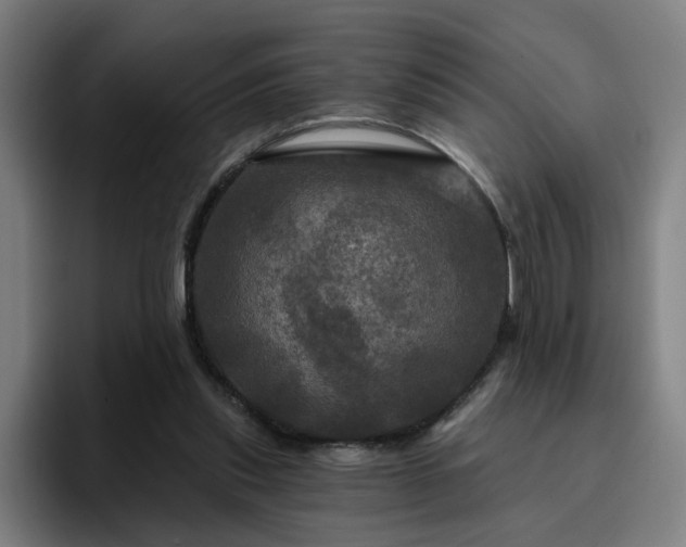 X0000094900253200712061034