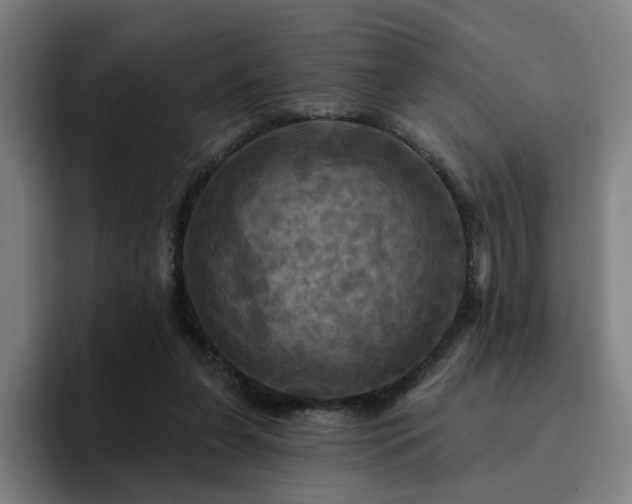 X0000094900255200712061034