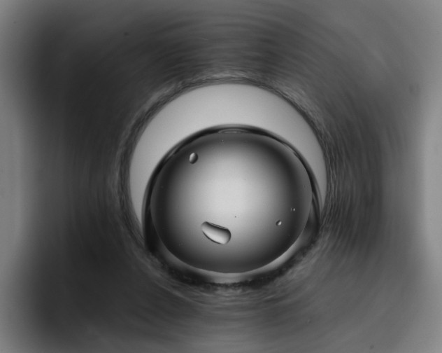 X0000094900256200712061034