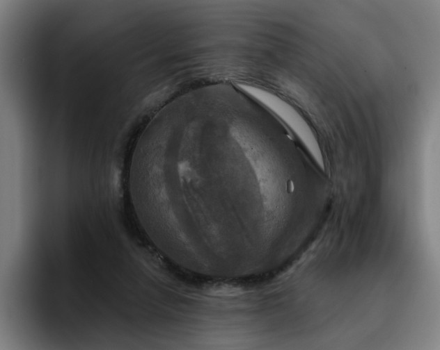X0000094900258200712061034