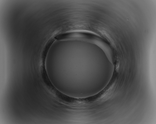 X0000094900260200712061034