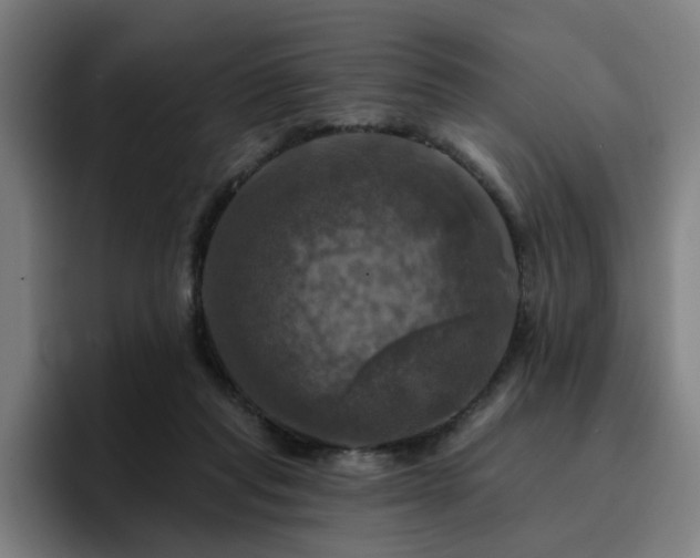 X0000094900261200712061034