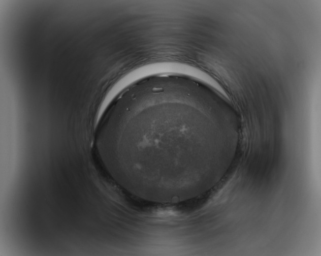 X0000094900262200712061034