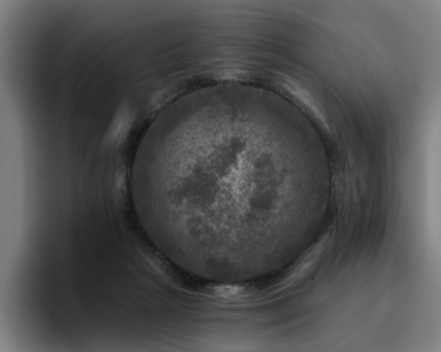 X0000094900265200712061034