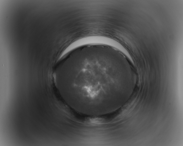X0000094900268200712061034