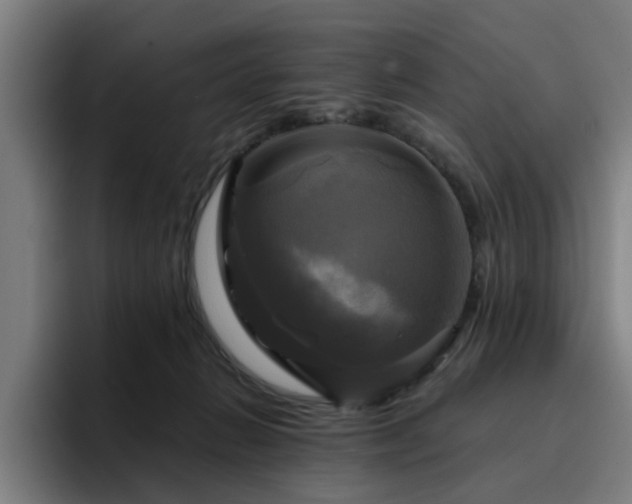 X0000094900270200712061034